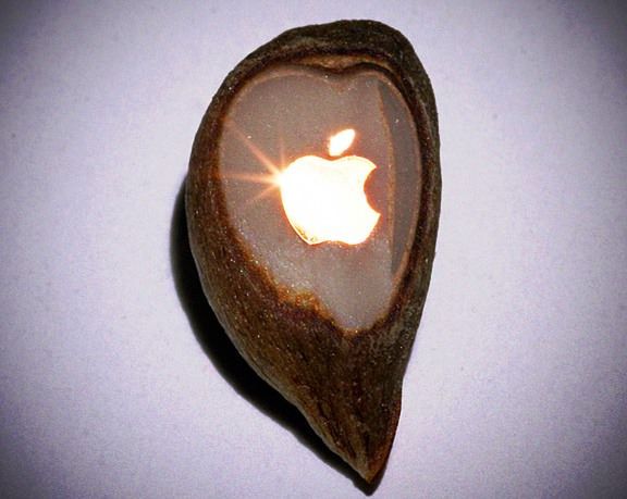 Золотой значок Apple на зернышке
