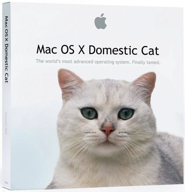 OS-X-10.9-domestic_cat