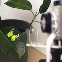 disney aireal haptic system