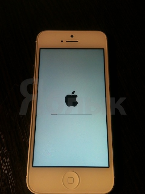 recovery iphone