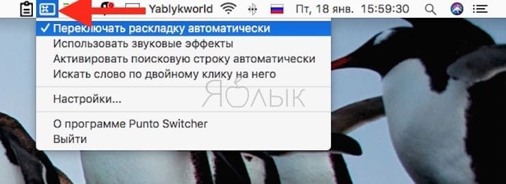 Punto switcher mac os не переключает