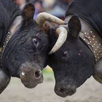 Samsung против Nokia