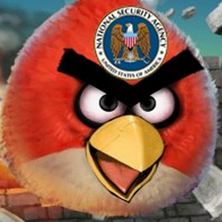 Хакеры взломали сайт Angry Birds