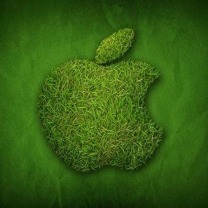 Apple находится на 4-м месте