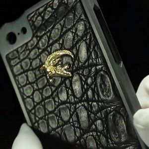 Чехол для iPhone 5s за 1500 долларов