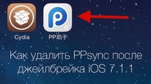 Как удалить ppsync