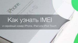 Как узнать IMEI и серийный номер iPhone, iPad или iPod Touch