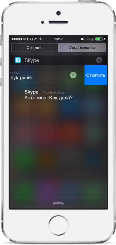 Skype-5.5