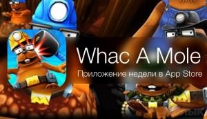 Игра Whac A Mole для iphone ipad