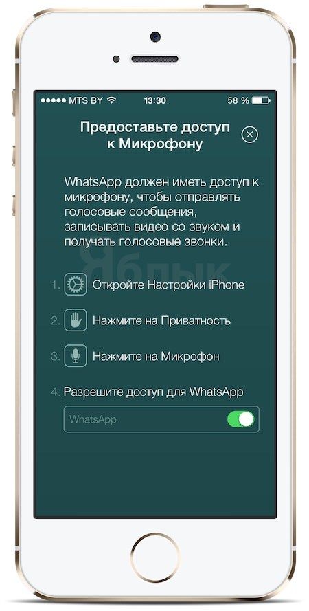 звонки на WhatsApp для iPhone