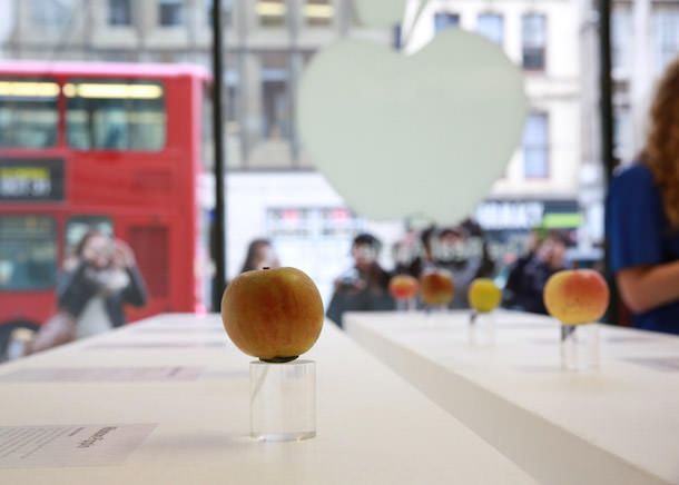 Настоящий Apple Store - магазин по продаже яблок