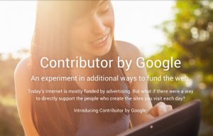 google contributor