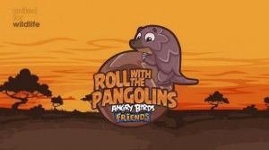 Roll with the Pangolins