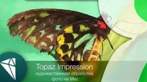 Topaz Impression - художественная обработка фото для mac