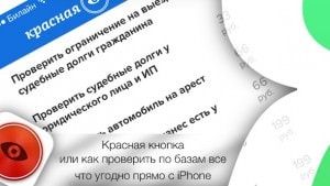 Красная кнопка или как проверить по базам все что угодно прямо с iPhone