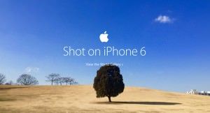 фото, сделанные камерой iPhone 6