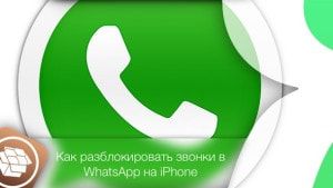 Как разблокировать звонки в WhatsApp на iPhone