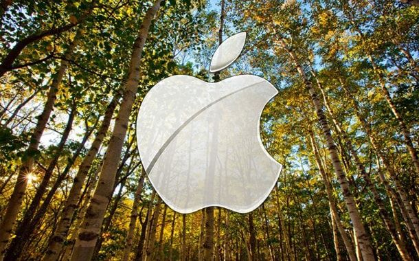 Apple, экология, лес
