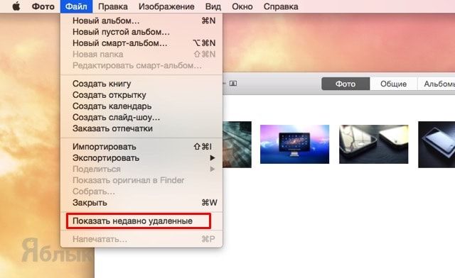 Исчезли фото из галереи. Восстановить удаленные фото на Мак. Как удалить фотографию на макбуке. Недавно удаленные на макбуке. Как удалить фотографии из фото на Mac.