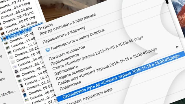 Задан полный путь к файлу c doc crazy proposal txt расширение указанного файла