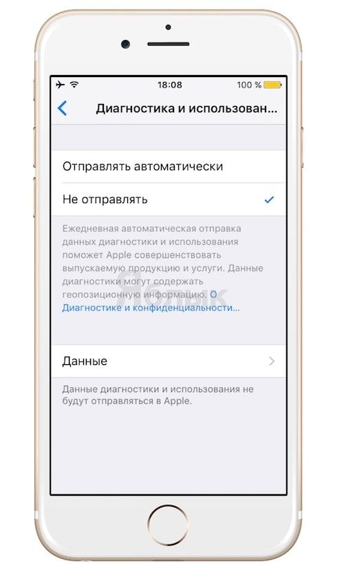 User label primary в айпад что это