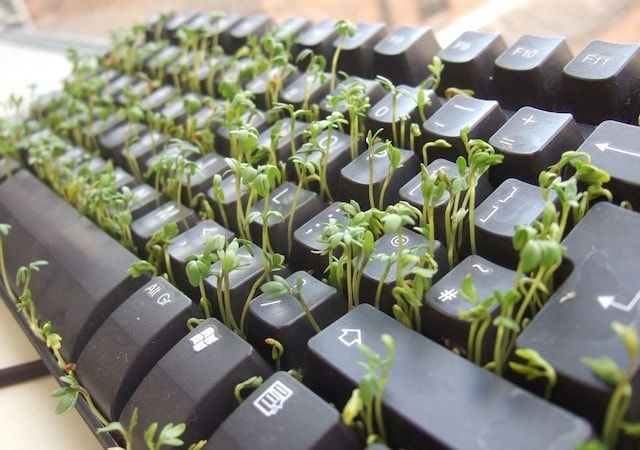 Клавиатура с растениями