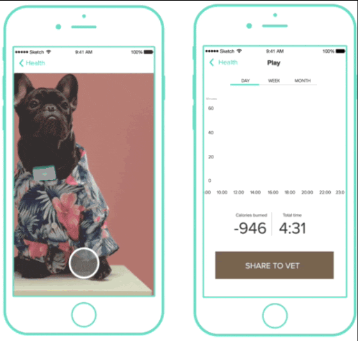 Tracy – трекер, позволяющий следить за здоровьем собак при помощи iPhone