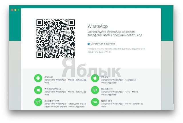 Скачать официальный WhatsApp для компьютера Windows и Mac OS X на русском языке