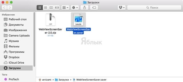 WebViewScreenSaver