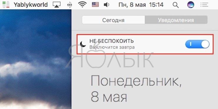 Режим не беспокоить на iphone Луна. Режим сна не беспокоить. Как включить режим усов.