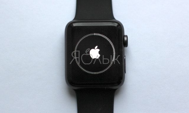 Синхронизация Apple Watch и iPhone