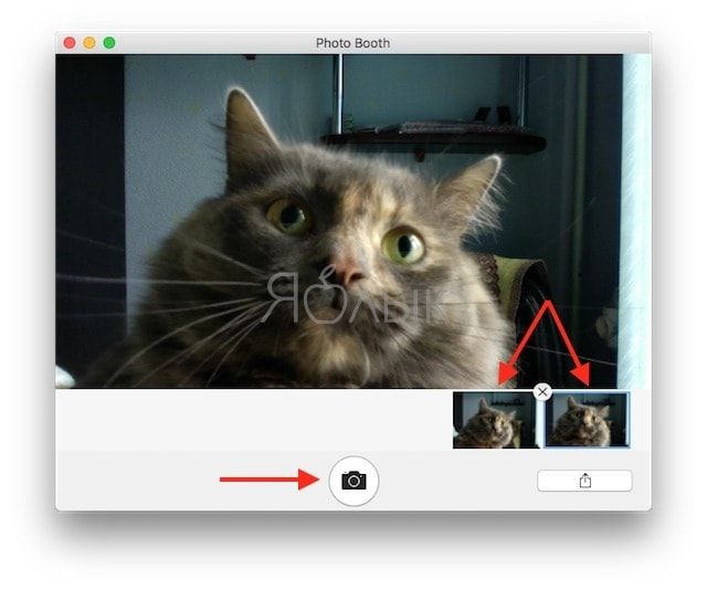 How to take pictures with a camera on Mac
