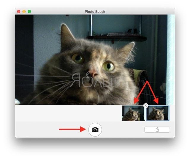 Как фотографировать камерой на Mac