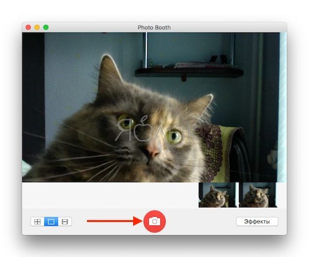 Как фотографировать камерой на Mac