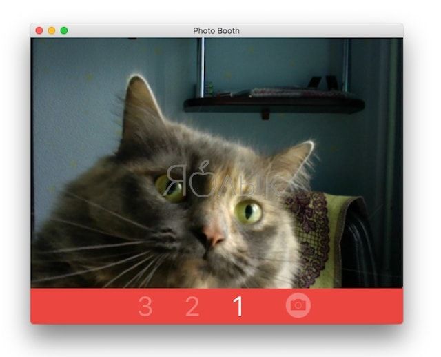 How to take pictures with a camera on Mac