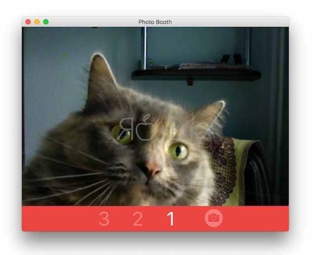 Как фотографировать камерой на Mac