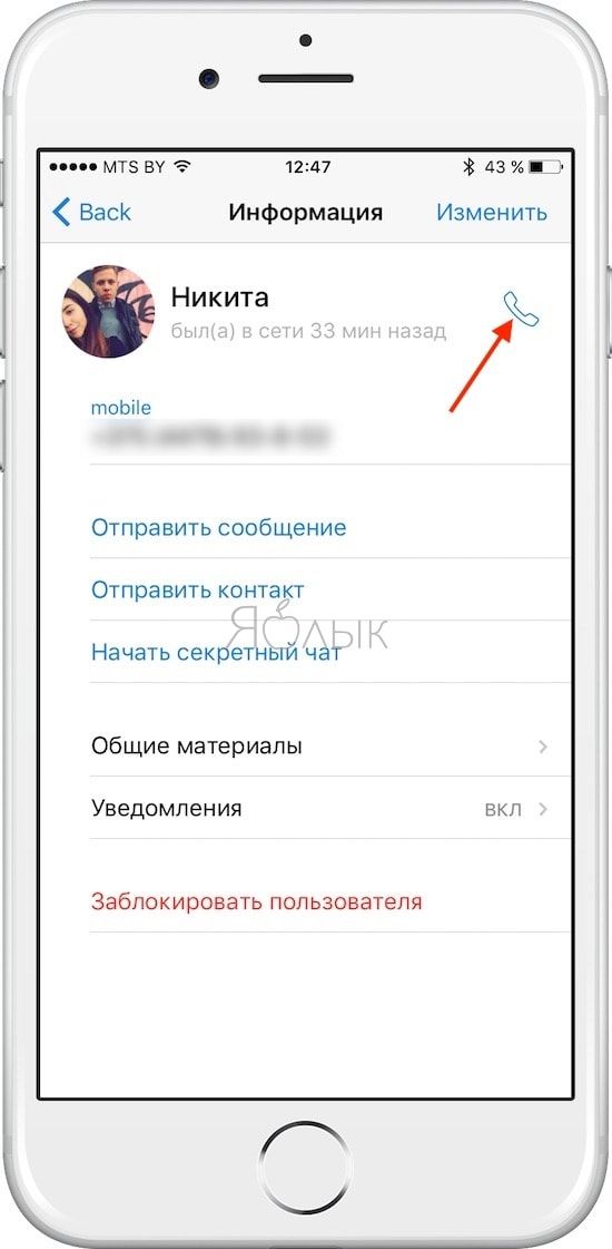 Как звонить в Telegram на iPhone и iPad