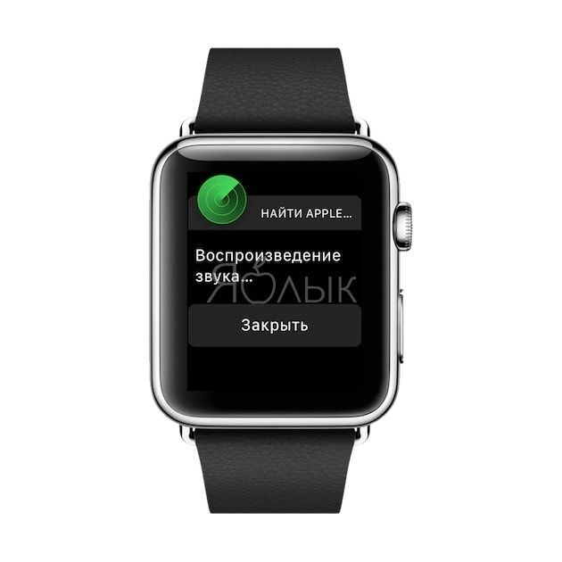 Как найти Apple Watch с помощью функции Найти iPhone
