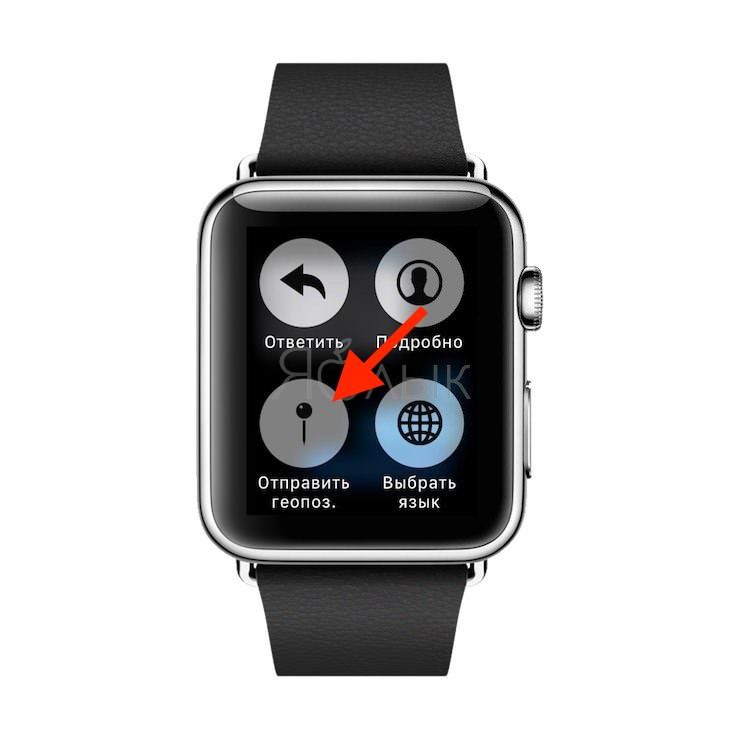 Отправить геопозицию на Apple Watch