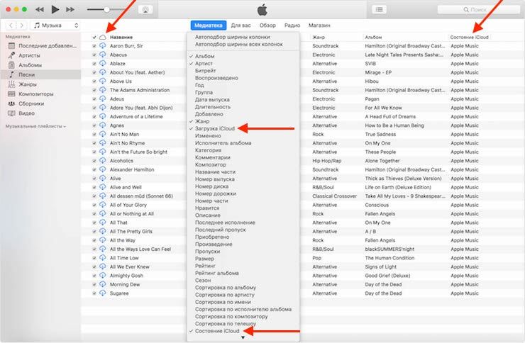 Значение символов загрузки iCloud в iTunes