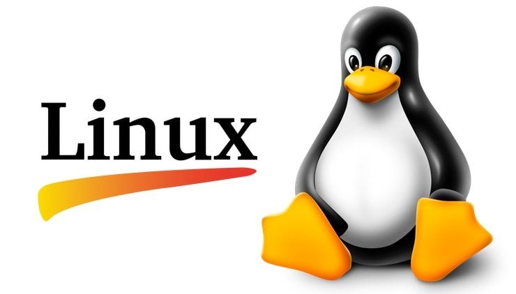 Дистрибутивы Linux: виды, где скачать и почему это бесплатно | Яблык
