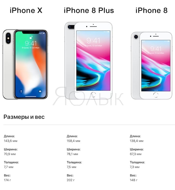 Размеры Айфонов: iPhone 8, iPhone 8 Plus и iPhone X