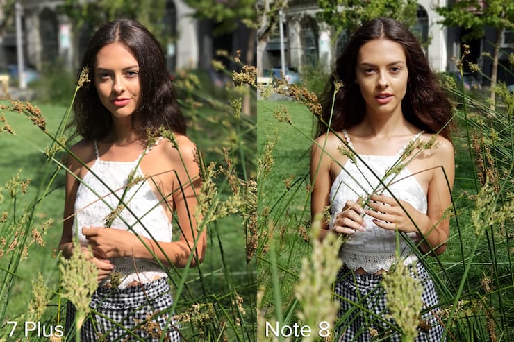 Какая камера лучше снимает Портретный режим: Galaxy Note 8 или iPhone 7 Plus?