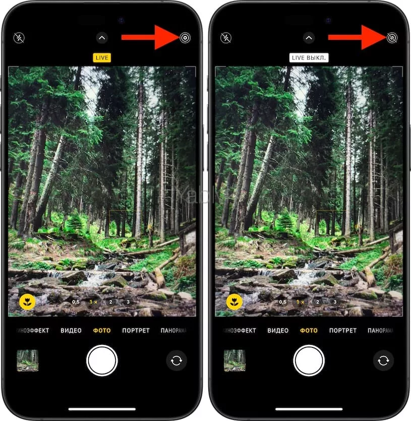 Как включать и отключать Live Photo в камере на iPhone