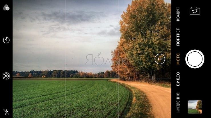 «Правило третей» при съемке с помощью iPhone