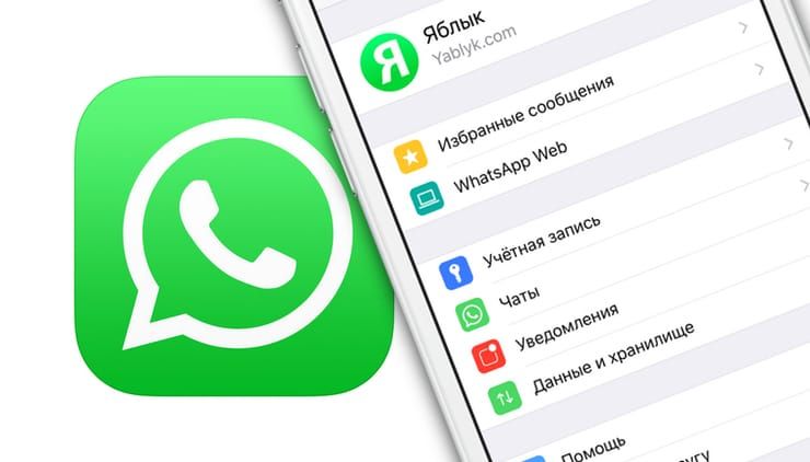 10 полезных опций WhatsApp