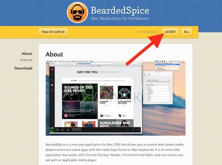 BeardedSpice управление медиа клавишами на клавиатуре Mac