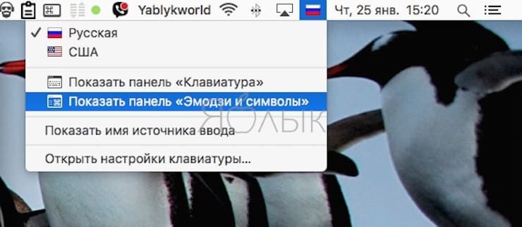 Как набрать на клиавиатуре macOS символ доллара $, рубля ₽ и евро €