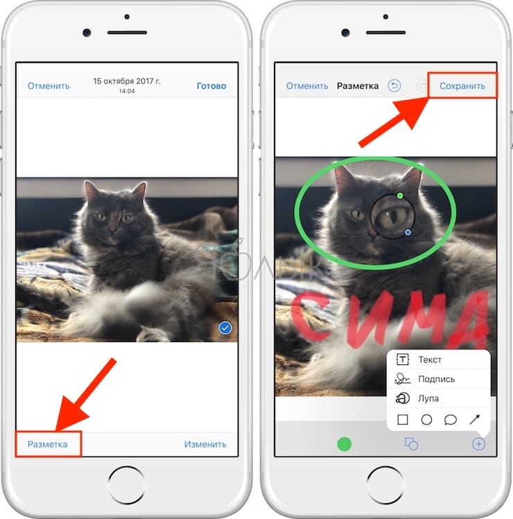 Как рисовать, добавлять текст и лупу на фото в iPhone и iPad
