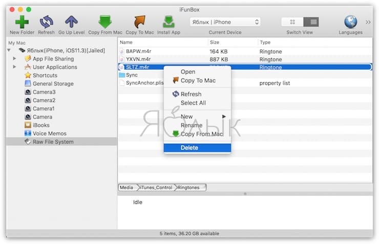 Как удалить рингтон с помощью программы iFunBox